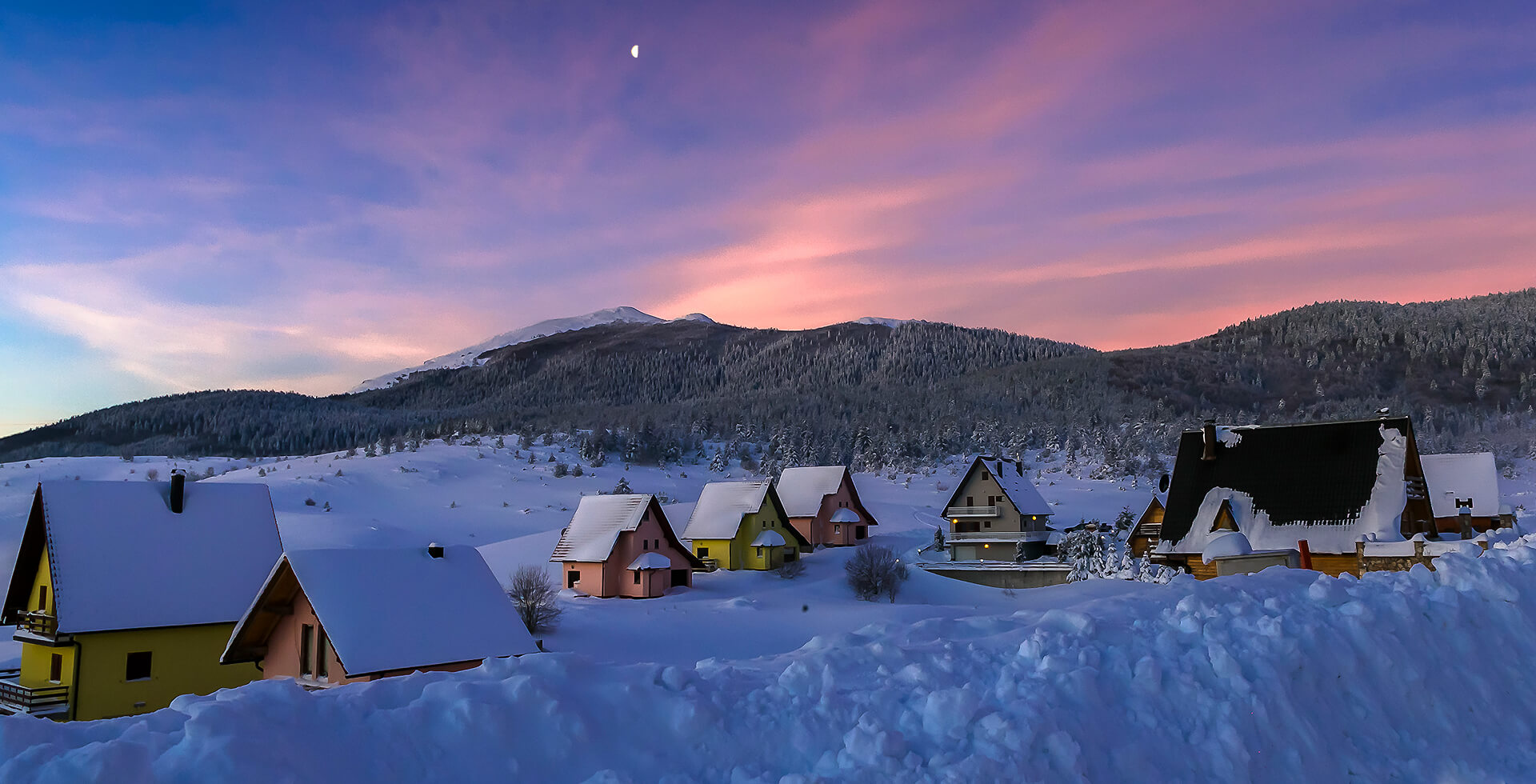 background_winter_2022_v5 (1)