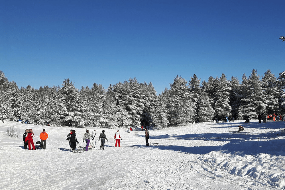 adria ski2-min