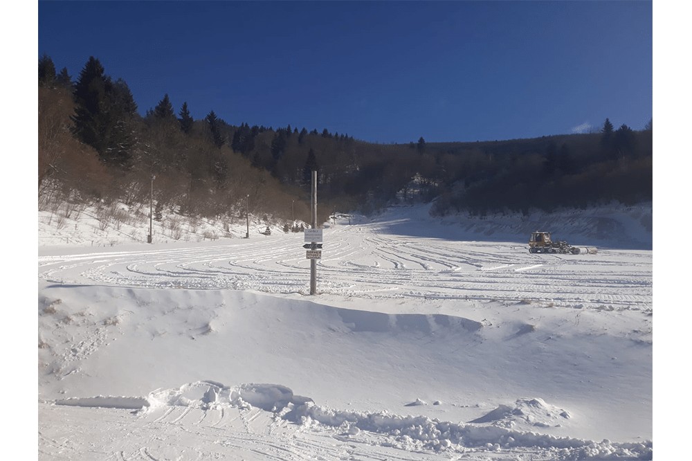 skiivan1-min